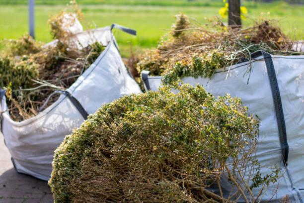 Best Mattress Disposal  in Bass Lake, IN
